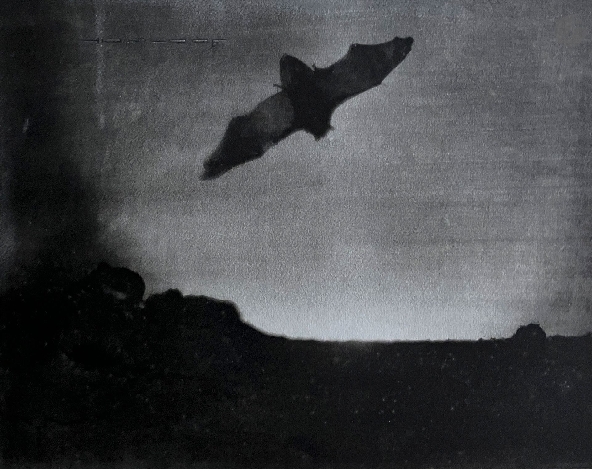 Laure Albin Guillot (1879-1962)
Night, 1926.
Vintage gravure, titled, dated and annotated "Épreuve unique" in the lower margin. Signature, title, date and annotation "Épreuve unique sur Watermann pour M. Daniel Brunet" in pencil on verso.
Image: 28 x 22.2 cm - Sheet: 58 x 45.5 cm