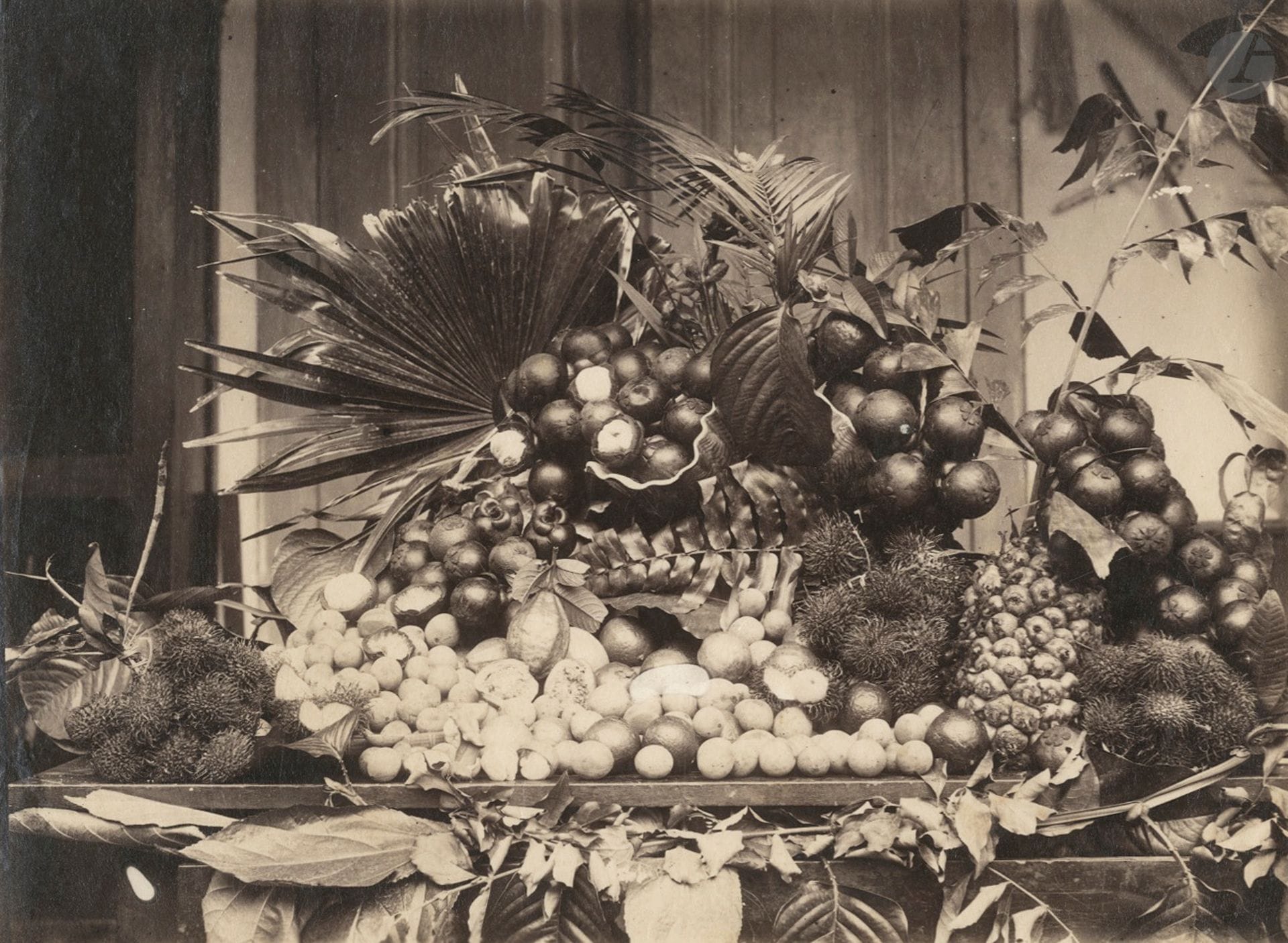 Photographe non identifié
Fruits exotiques, c. 1870-1880.
Épreuve sur papier albuminé. Blason non identifié et annotations manuscrites au verso.
17,2 x 23 cm