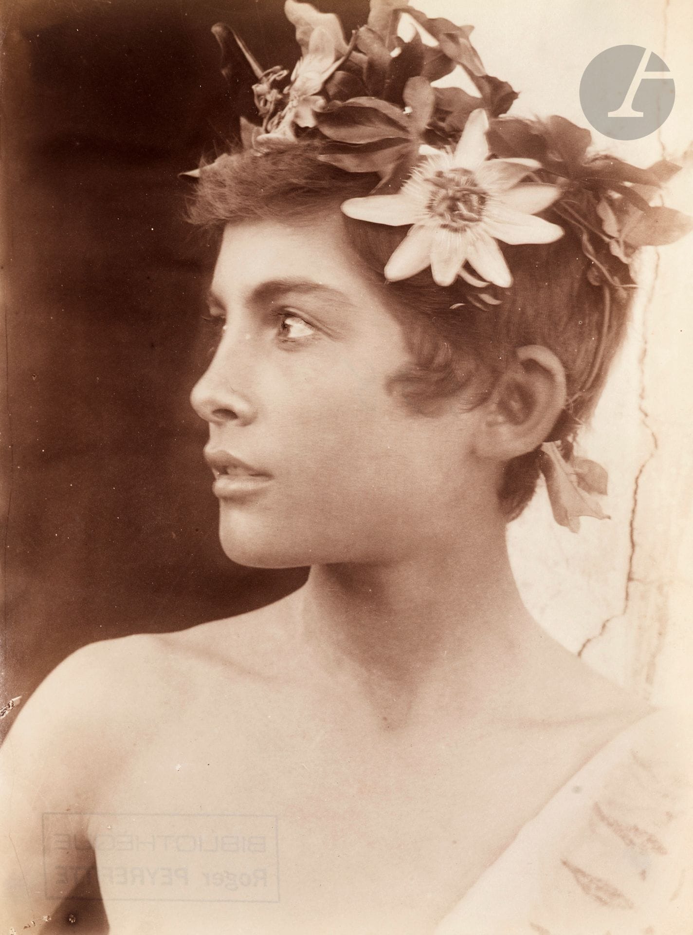 Wilhelm von Gloeden (1856-1931)
Jeune sicilien [Giacomo Lanfranchi] à la couronne de passiflores (profil). Taormina, Sicile, c. 1895.
Épreuve sur papier albuminé. Tampon « Bibliothèque - Roger Peyrefitte » et numéro de négatif « 458 » au crayon bleu au verso.
22,5 x 17 cm

Provenance : 
Ancienne collection Roger Peyrefitte. 

Bibliographie : 
- Annarita Caputo, Wilhelm von Gloeden. Fotografie 1899-1902, Florence, Polistampa, 2000, fig. 39, pp. 92-93. 
- Roger Peyrefitte, Wilhelm von Gloeden Biographie, Paris, Éditions Textes Gais, 2008 p. 92.