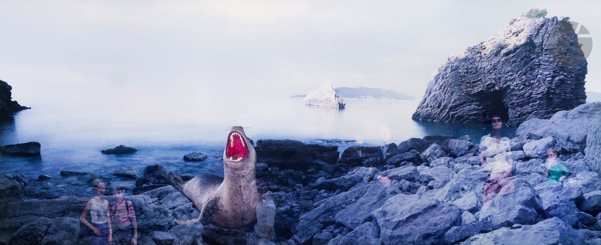 Oleg Kulik (1961)
Sea lion, from the Windows series, 2001. 
Vintage chromogenic print, mounted on aluminum. Edition of six (6). A certificate from Oleg Kulik accompanies the work.
122 x 297 cm - frame 

Provenance : 
- Galerie Rabouan Moussion, Paris. 
- Private collection, France.
