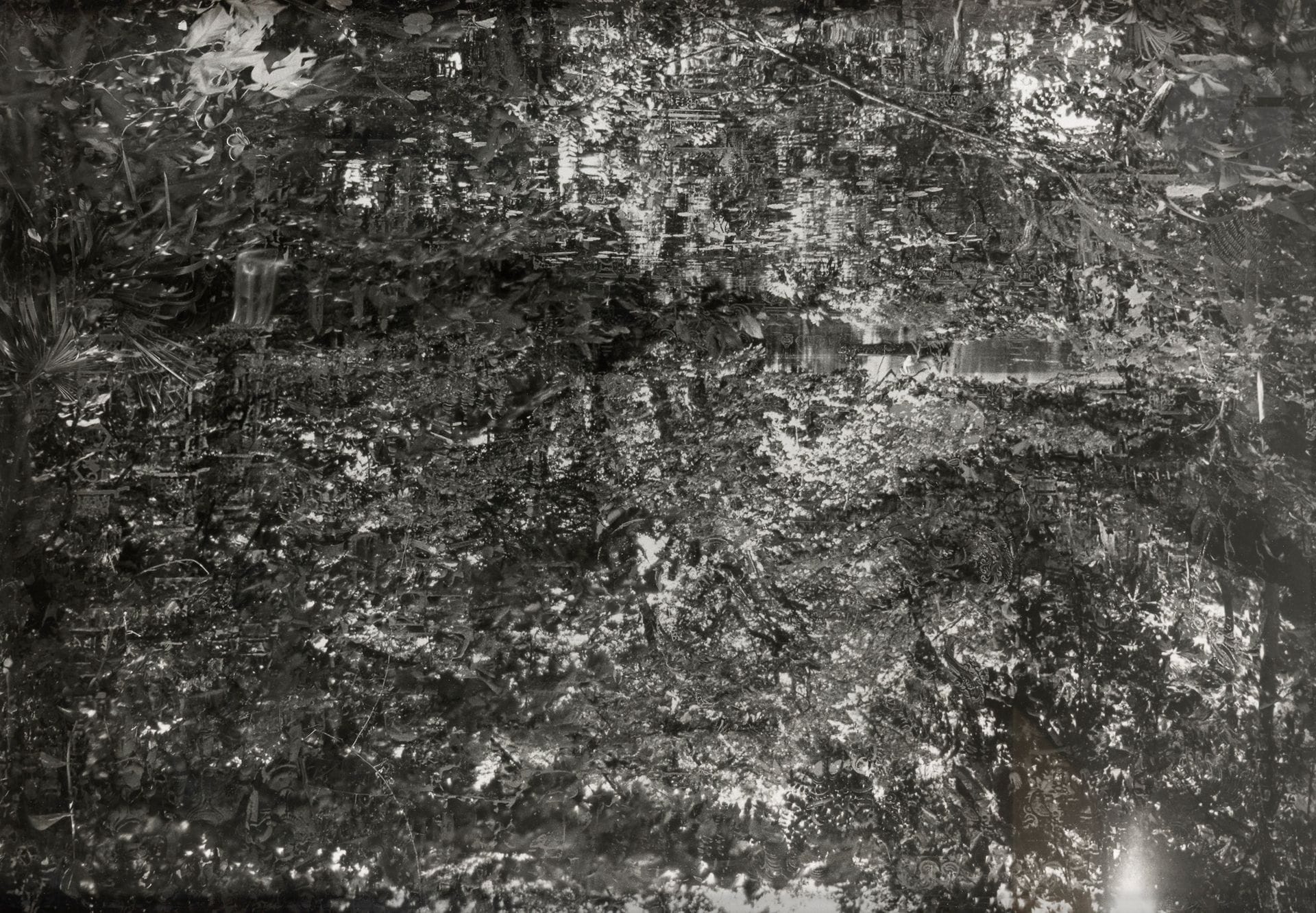 Aki Lumi (1957)
Garden n°1, 2009.
Épreuve pigmentaire, contrecollée sur panneau, signée, titrée, datée et numérotée à 7 exemplaires sur étiquette au verso du montage.
72,5 x 111,5 cm