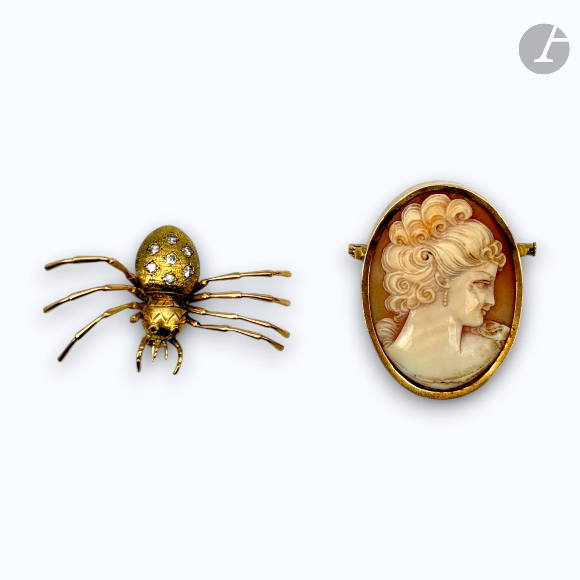 Lot de deux broches en or 750/°°° : 
- Une broche sertie d'un camé moderne cerclé d'or,
- Une broche en forme d'araignée sertie de brillants et pierres rouges.
Poids brut : 19,0g

FRAIS DE VENTE : 8% HT