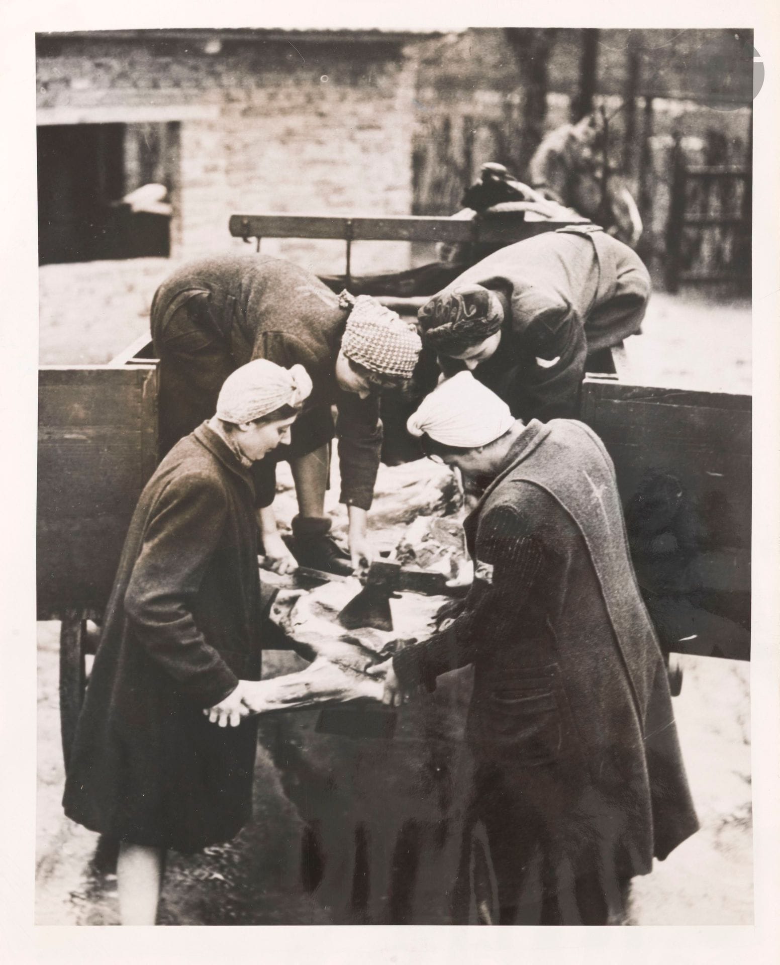 [SECONDE GUERRE MONDIALE] 
Femmes juives coupant de la viande dans un camp de soldats allemands.
Tirage de presse d’ACM Newspicture. Légende dactylographiée. Tampon au verso. 
18 x 23 cm
Les femmes sont identifiables par la croix jaune tracée au dos de leur vêtements.




Mots clés :
judaïca, juif, juive, hébreux, rabbins, jewish, torah, hebrew, hebraica, judaisme, synagogue, sionisme, pessah, pessach, haggada, haggadah, hagada, hagadah, passover, menora, menorah, hannuka, hannuca, hannoucca, hanouccah, torah, juden, israélite, Israël, antisemitism, antisémitisme, dreyfus, meguila, sepharade, sefarad, ketouba