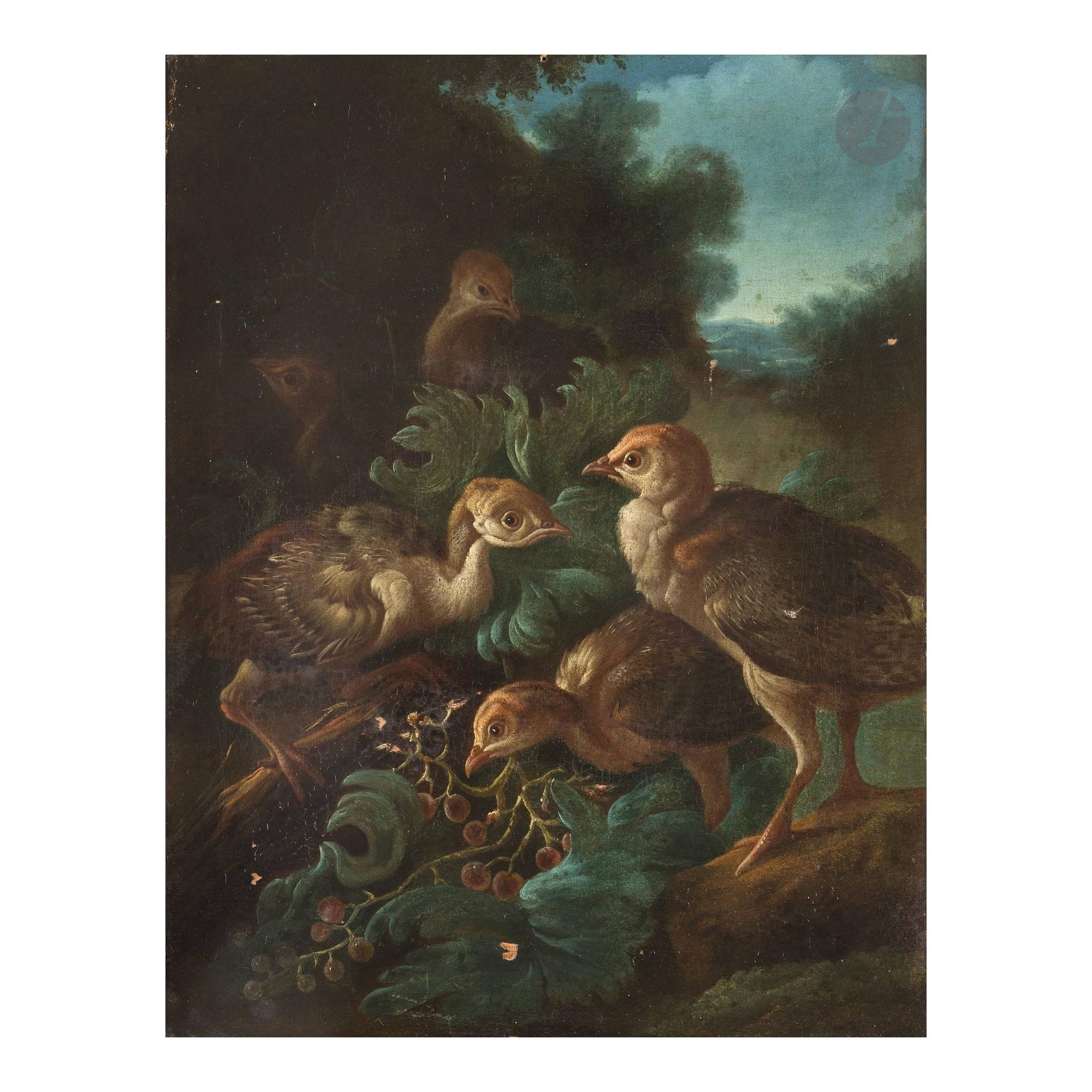Giorgio DURANTI (Brescia 1685 - 1755)
Jeunes gallinacés dans un paysage
Toile et chassis d'origines
40 x 30,5 cm
Cadre en bois sculpté et doré d'époque Louis XIII
Traces de signature en bas à gauche " P...EM "
Manques
