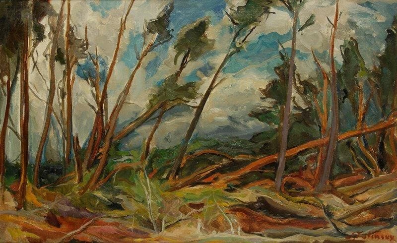 Serge FOTINSKY (1887-1971)
Sapinière après la tempête Huile sur toile. Signée en bas à droite. 38 x 61 cm
