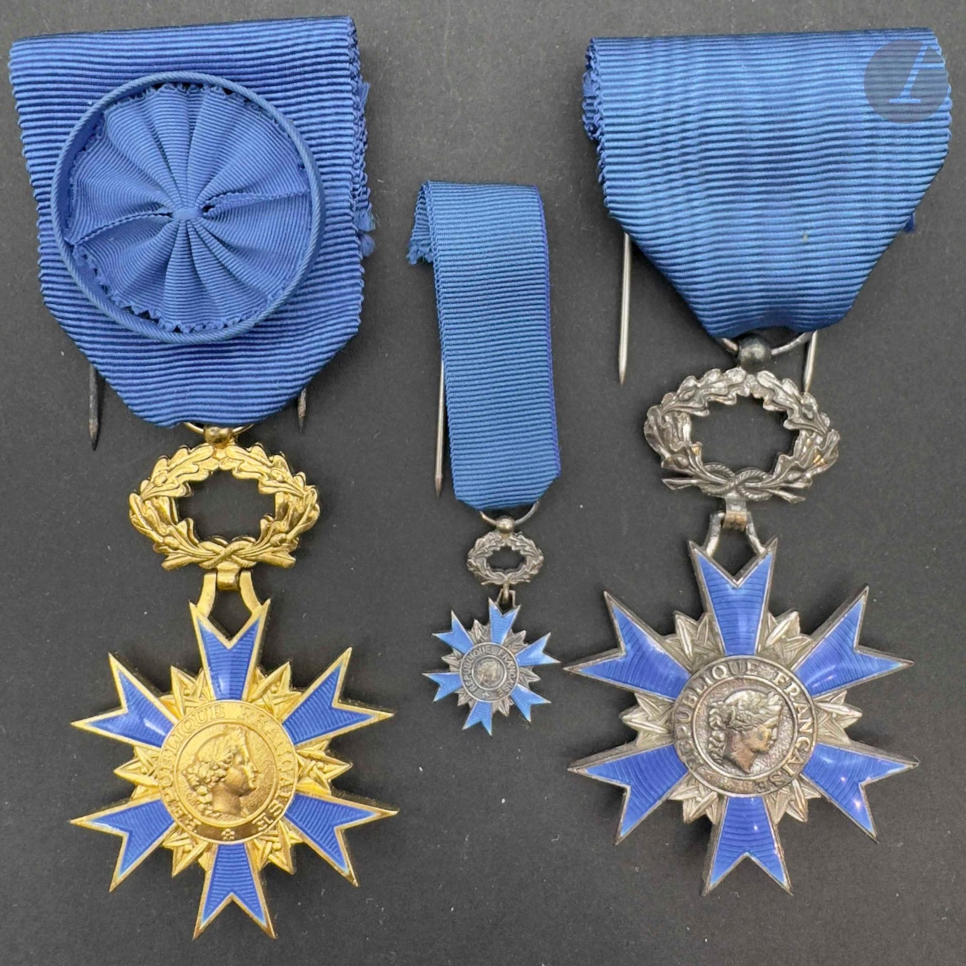 FRANCE 
ORDRE NATIONAL DU MÉRITE
- étoile de chevalier. En argent, émail. Ruban. Écrin d’Arthus Bertrand. T.T.B. à SUP. 
- étoile d’officier. En vermeil et émail. Poinçon de la Monnaie. Ruban à rosette. T.T.B. à SUP. 
- miniature de chevalier en argent et émail. Dans son écrin de la Maison Arhus Bertrand. T.T.B. à SUP.