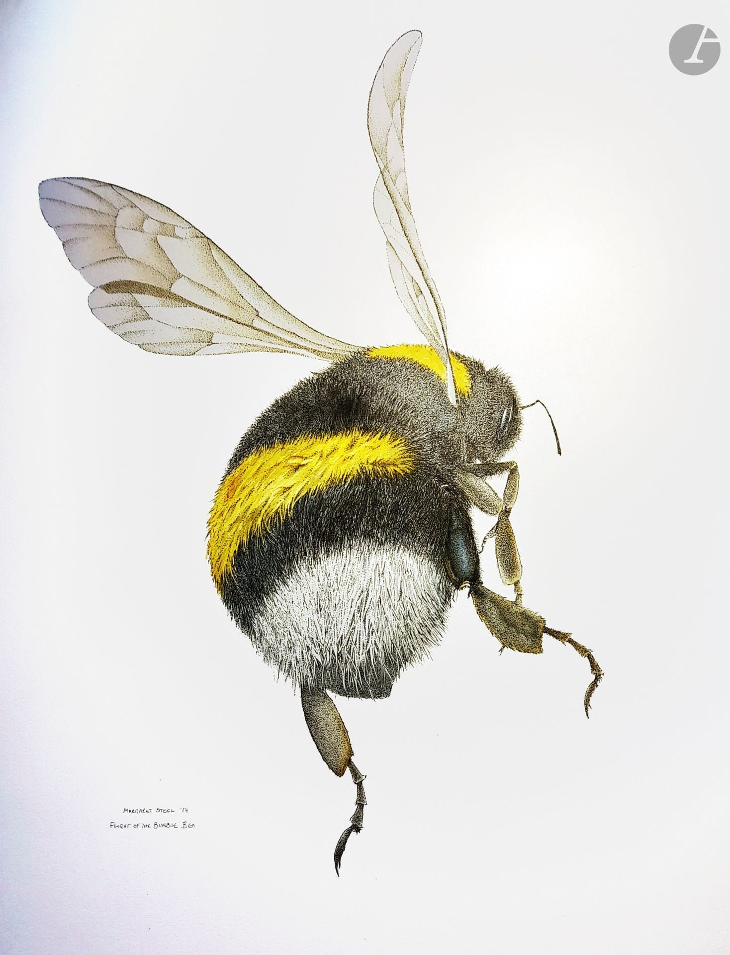 Margaret STEEL (b. 1953)
Flight of the bumblebee
Ink and watercolor on Arches paper.
80 x 80 cm
- Provenance : 
Collection of the artist.