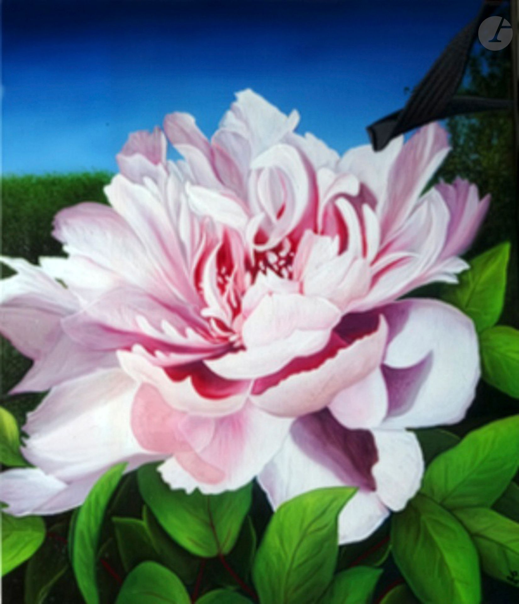 Hélène CALLET (née en 1943)
Pivoine la boisse
Huile sur toile.
55 x 46 cm
- Provenance : 
Collection de l'artiste.