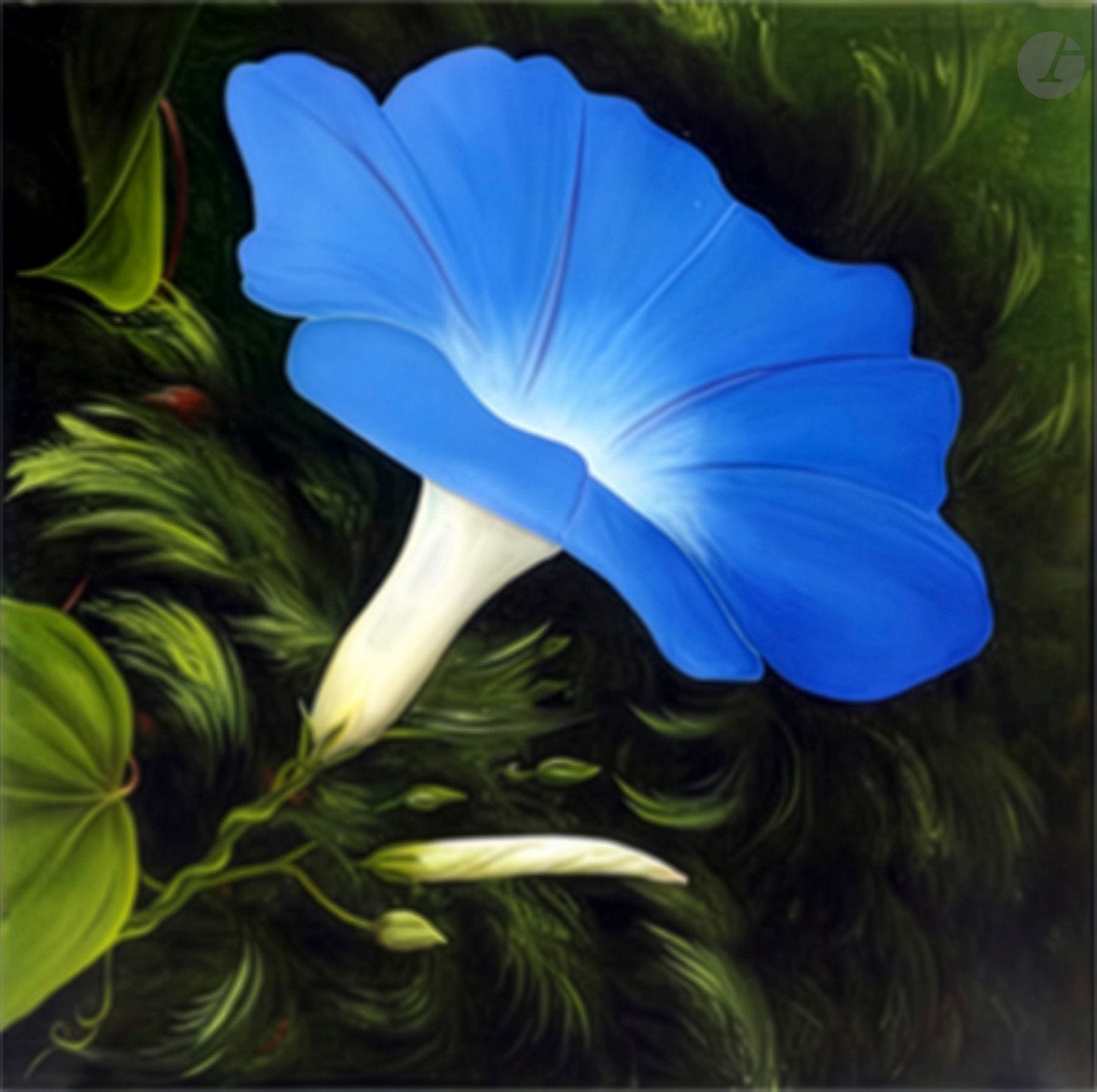 Hélène CALLET (née en 1943)
Ipomée bleue
Huile sur toile.
50 x 50 cm
- Provenance : 
Collection de l'artiste.