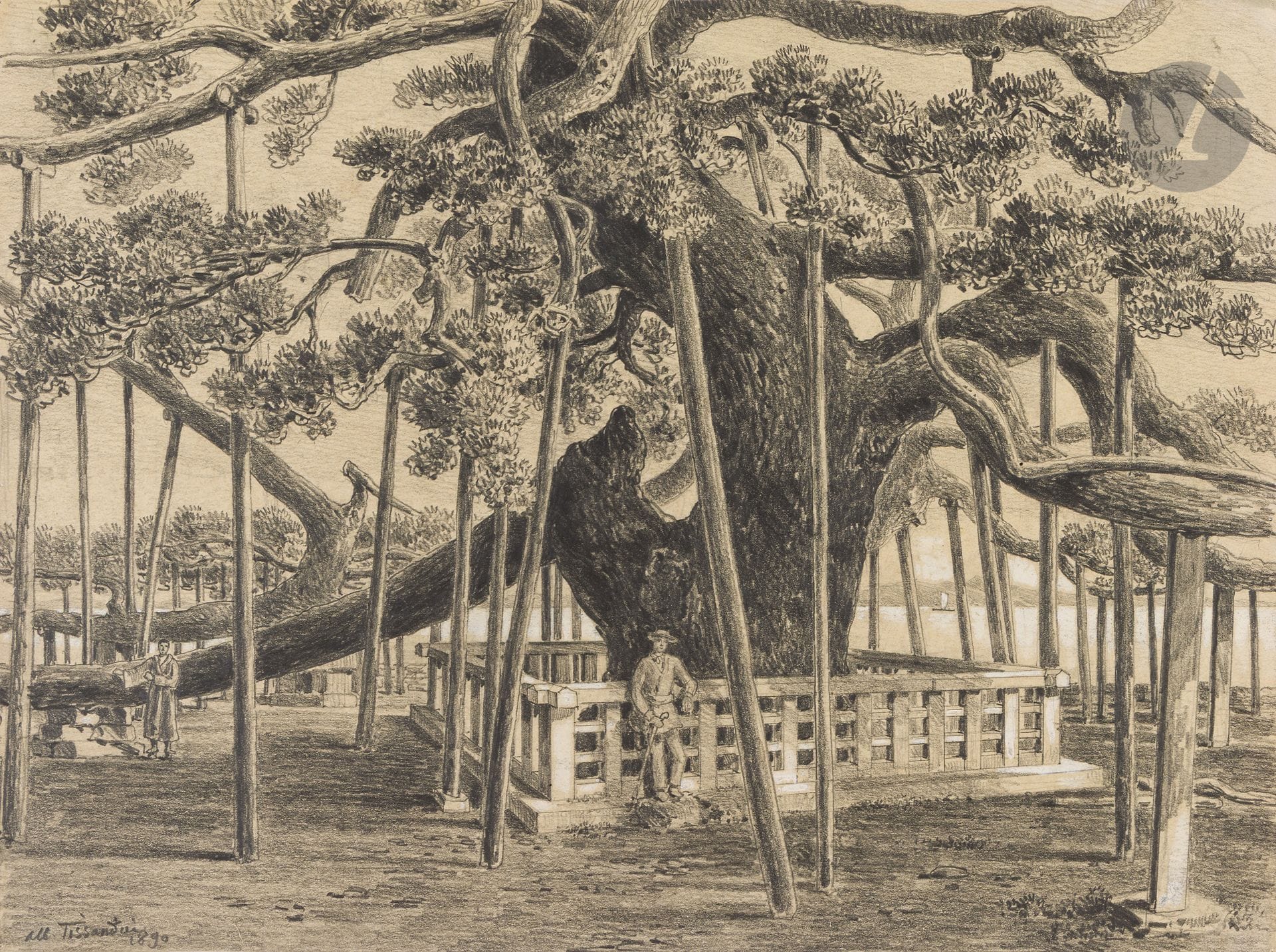 Albert Tissandier (1839-1906)
Un arbre célèbre au Japon : le vieux pin de Karasaki, 1890
Mine de plomb rehaussée à la gouache blanche.
Signée et datée en bas à gauche.
26,5 x 36,6 cm

Ce dessin a été publié dans la revue scientifique La Nature (second semestre de l’année 1891, n° 956) pour illustrer l’article, intitulé « Un arbre célèbre au Japon : Le vieux pin de Karasaki ». Comme l’indiquent les annotations jointes « Le vieux pin de Totsoumatsou (terme désignant un pin sacré) âgé de 1100 ans, situé sur le bord du lac Biwa près la ville d’Otsu - province de Omi - Japon » et au verso « Le vieux pin de Karasaki près d’Otsu, 28 7bre [septembre] 90 », l’œuvre représente l’un des arbres les plus célèbres et sacrés du Japon Meiji, le Karasaki no matsu.