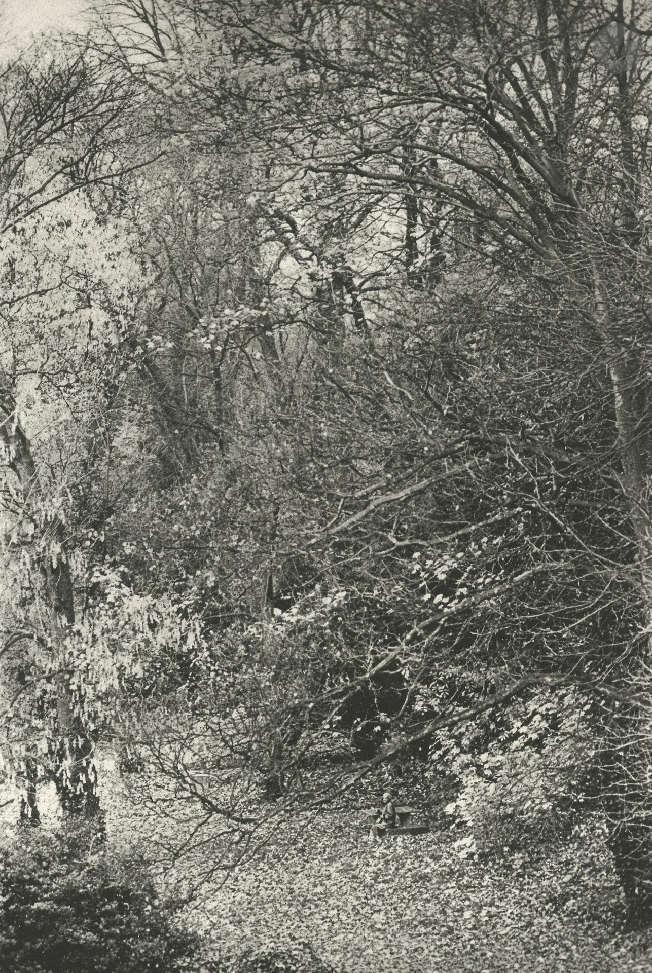 Willy Ronis (1910-2009)
Marie-Anne. Nogent-sur-Marne, 1988.
Héliogravure (issue du portfolio Willy Ronis, édition à 130 exemplaires, Alain Dhouailly éditions, 2001), signée dans la marge en bas à droite. 
Image : 25,8 x 17,2 cm - Feuille : 53 x 39,5 cm