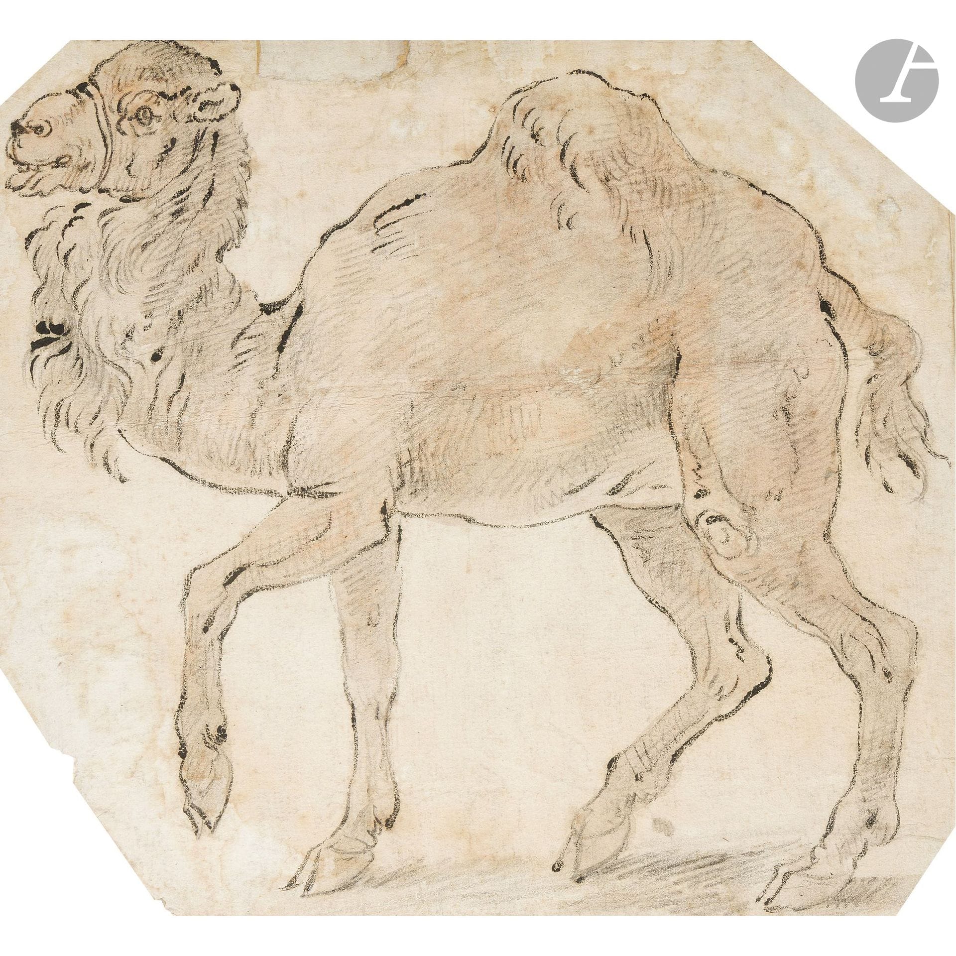 NORTHERN SCHOOL, circa 1600
Camel
Black chalk and brown wash over black pencil, scalloped paper.
(Sun-faded, small spots, missing areas, horizontal crease).
24.4 x 27 cm