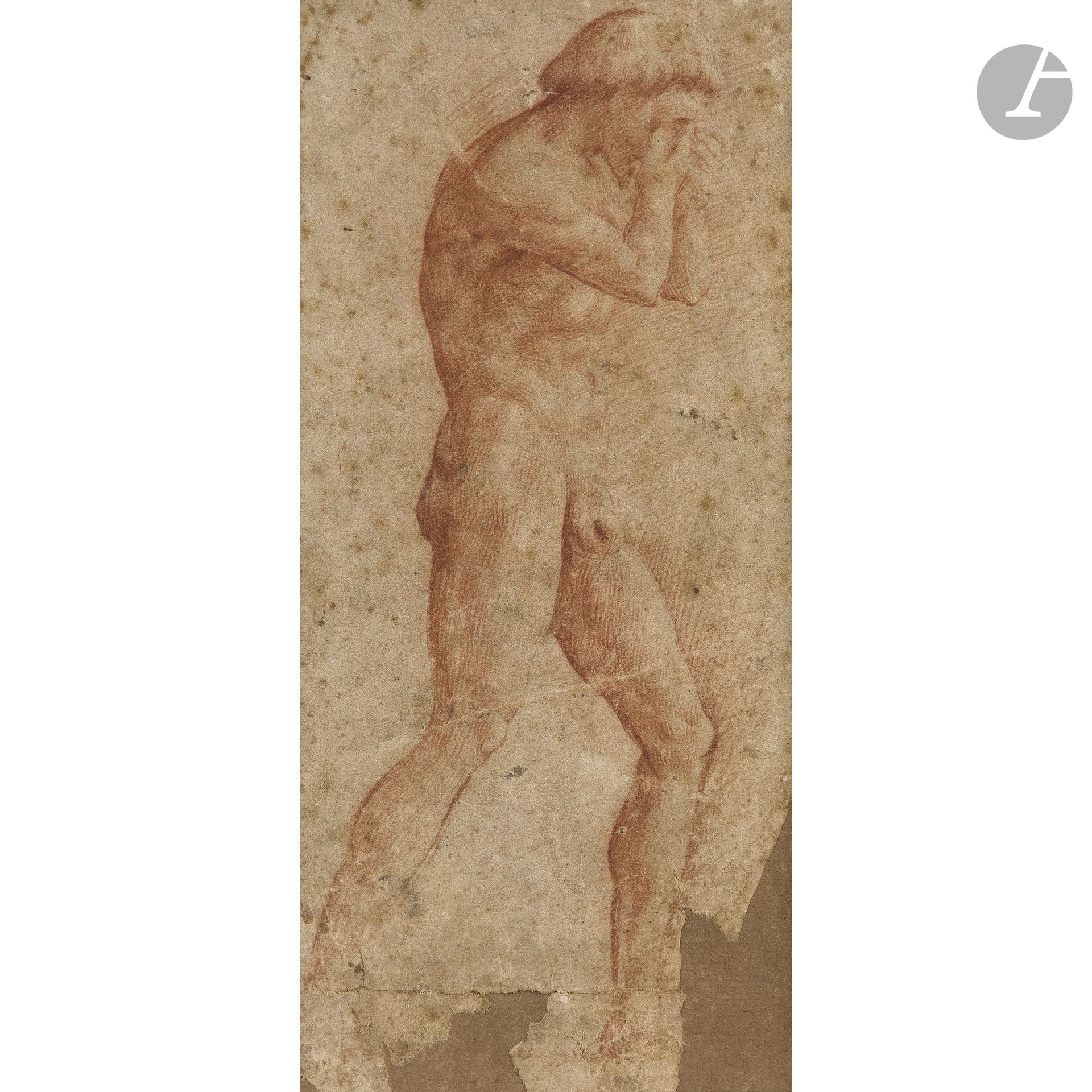 16th-CENTURY ITALIAN SCHOOL, circle of Rosso Fiorentino (Florence 1495–Fontainebleau 1540), after MASACCIO
Adam, after the fresco in the Brancacci Chapel
Red chalk.
(Doubled drawing, significant losses at the bottom, sun-faded and with foxing).
25.4 x 11.5 cm

Provenance:
Briscardieu Estate Sale, Bordeaux, September 19, 2020, lot 9.

Vasari reports that, in addition to Michelangelo, many artists admiringly copied Masaccio’s frescoes in the Church of Santa Maria del Carmine in Florence. Rosso continued this tradition in the early 16th century; and while we cannot venture an attribution, the very fine execution of this drawing can be likened to Rosso’s technique.