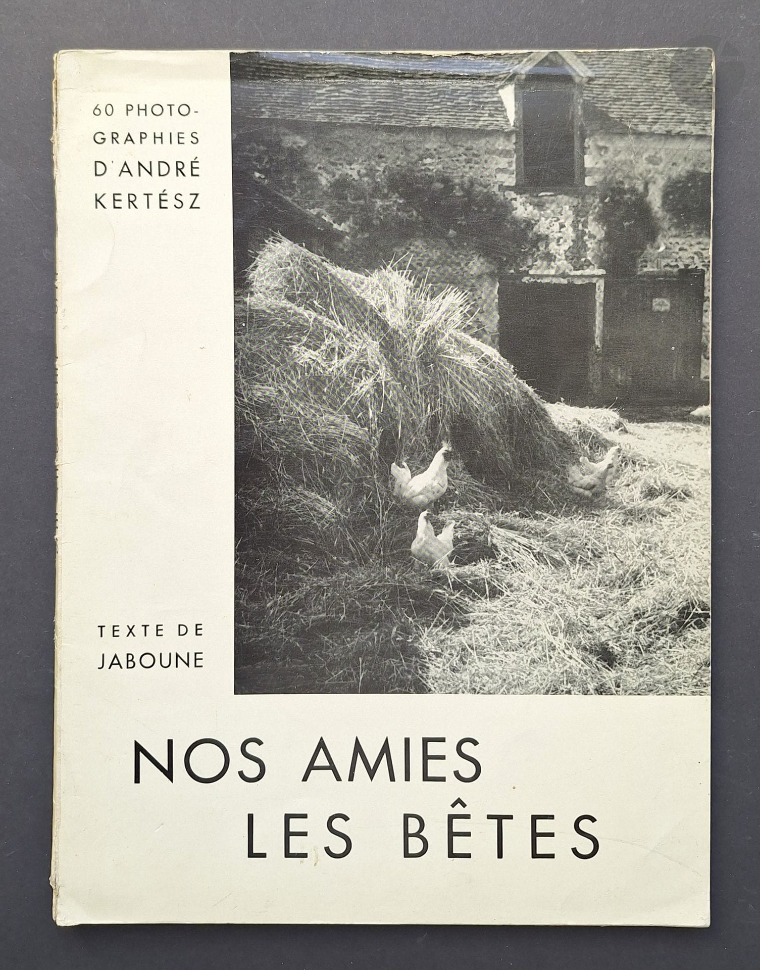 KERTESZ, ANDRÉ (1894-1985)
Nos amies les bêtes.
Texte de Jaboune.
Éditions d'Histoire de l'Art, Librairie Plon, Paris, 1936.
In-4 (30 x 22,5 cm). Édition originale, brochée. 60 photographies imprimées en héliogravure. Couverture souple illustrée. Dos avec défauts, sans manque.
