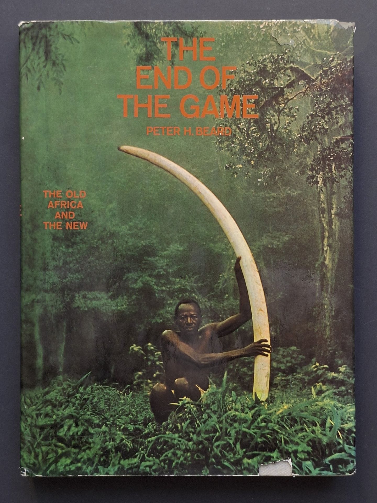 BEARD, PETER (1938-2020)
The end of the game.
The old Africa and the new.
Text and photographs by Peter H. Beard.
The Viking Press, New York, 1965.
In-4 (28 x 21 cm). Edition originale américaine. 256 pages. Reliure d'éditeur sous jaquette illustrée (tout petit manque en bas de la jaquette avant).