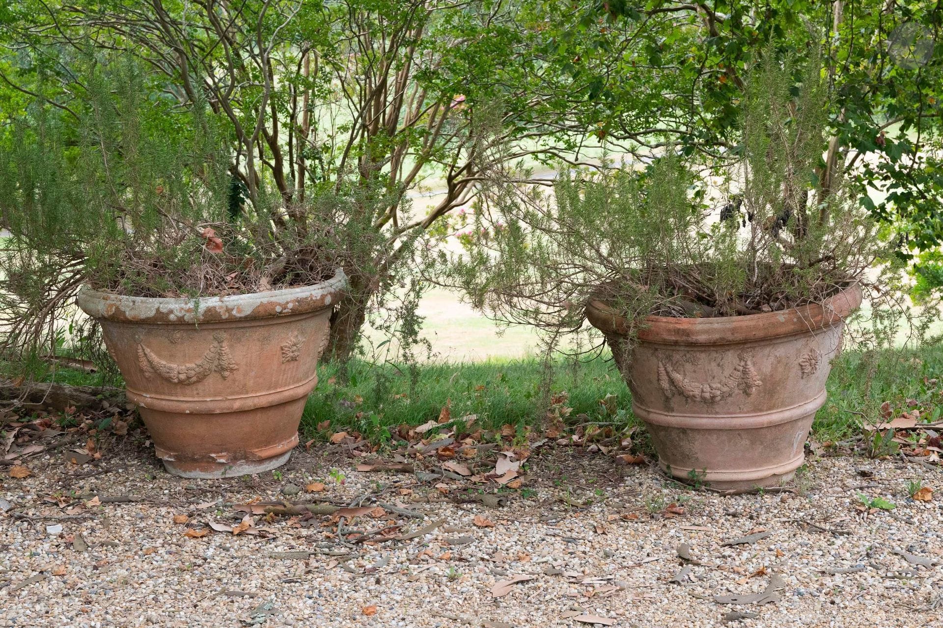 Paire de pots en terre cuite à décor de guirlandes de fruits et de fleurettes. 
XXe siècle. 
H. : 67 cm - D. intérieur : 79 cm
(Lot vendu en l'état). 

L'enlèvement est sous la responsabilité et à la charge de l’acheteur.