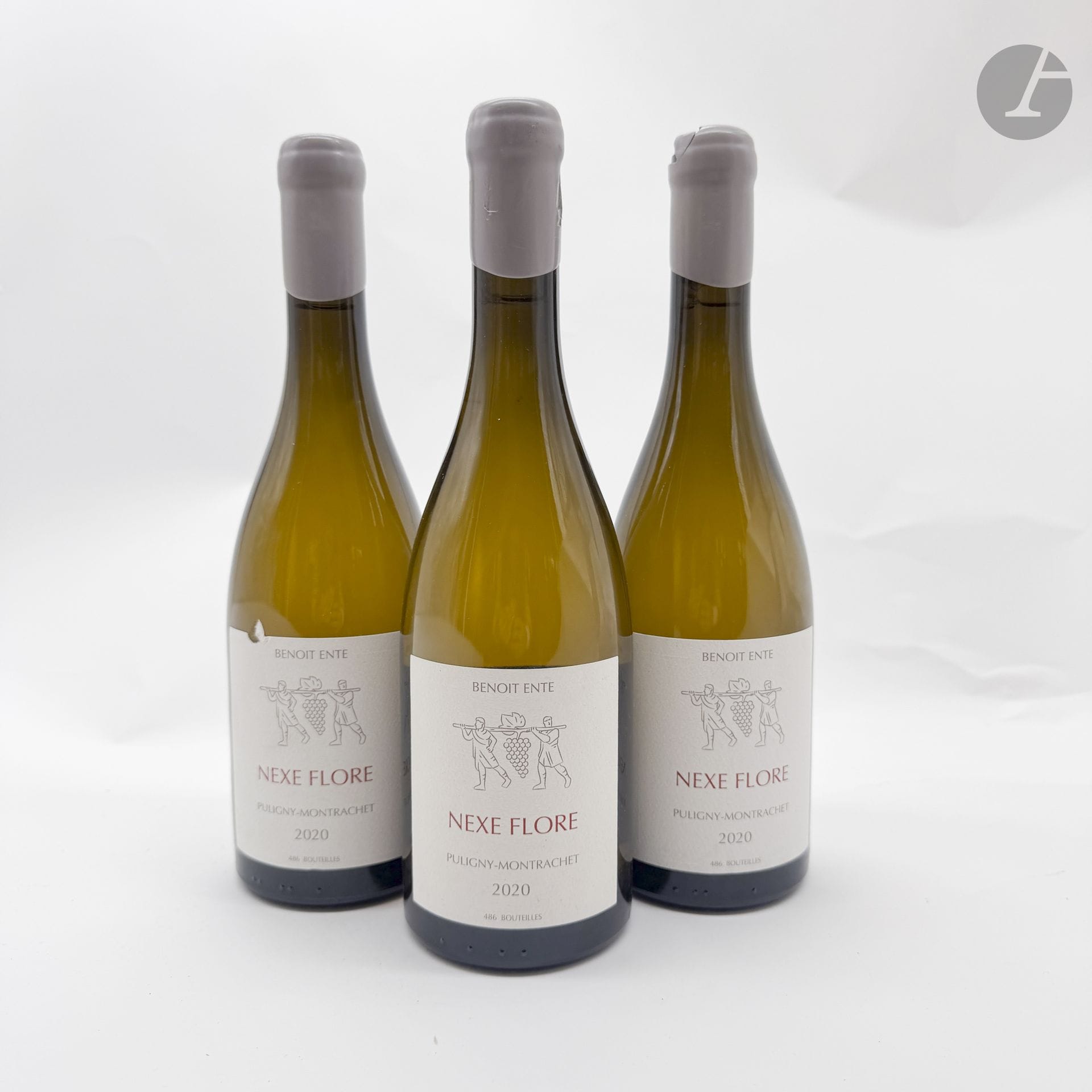 3 B PULIGNY-MONTRACHET NEXE FLORE (1 e.a; 1 c.a; 486 bouteilles récoltées), Domaine Benoît Ente, 2020