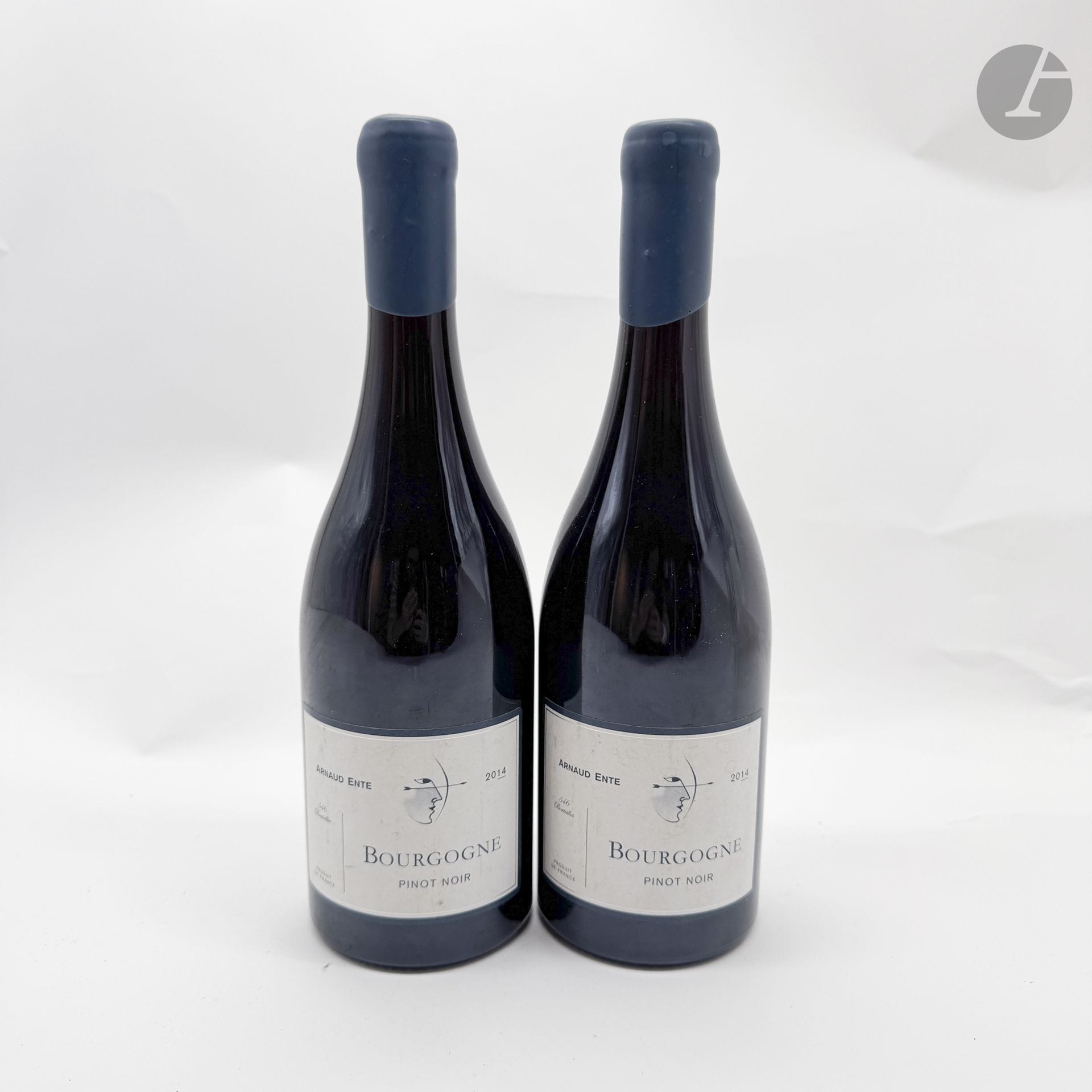 2 B BOURGOGNE PINOT NOIR (e.l.a.), Domaine Benoît Ente, 2014