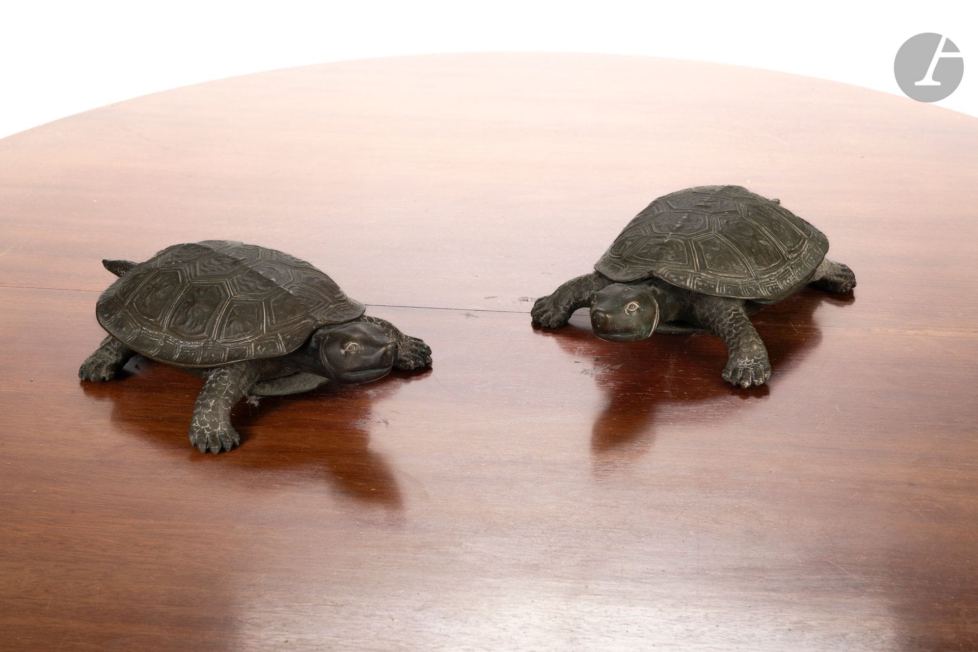 Paire de tortues d'eau en bronze formant boîte. 
XXe siècle. 
H. : 6,5 - L. : 33 - P. : 19 cm
(Lot vendu en l'état).