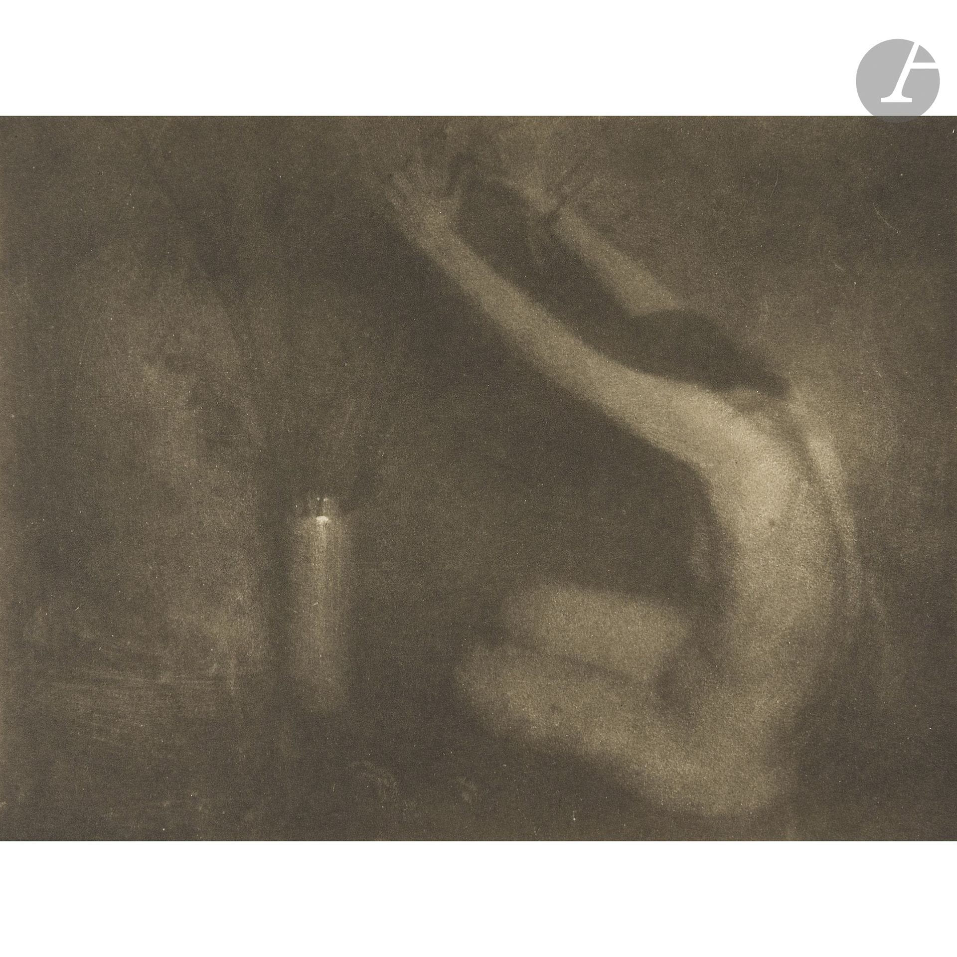 Edward Steichen (1879-1973)
Dawn-flowers, 1903. 
Héliogravure d’époque sur papier Japon, montée sur carton (issue de la revue Camera Work n°2, pl. 4, 1903). 
Image : 15 x 19,8 cm - Feuille : 21 x 29,7 cm