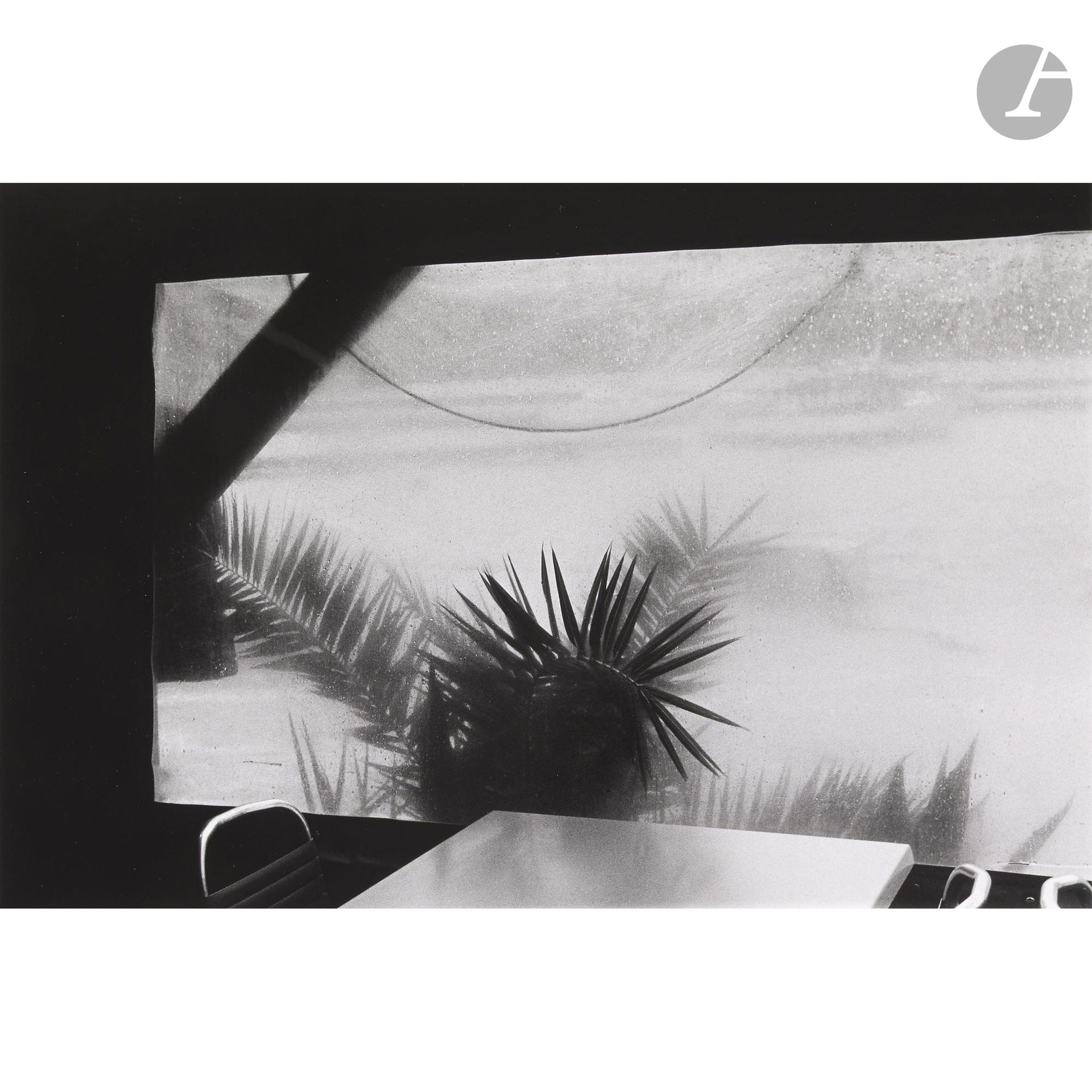 Bernard Plossu (1945)
Port-Cros, 1986. 
Épreuve argentique (c. 2000), signée, dédicacée, titrée et datée au crayon au verso. Timbre sec dans la marge en bas à droite. 
Image : 17,8 x 26,8 cm - Feuille : 24 x 30,5 cm