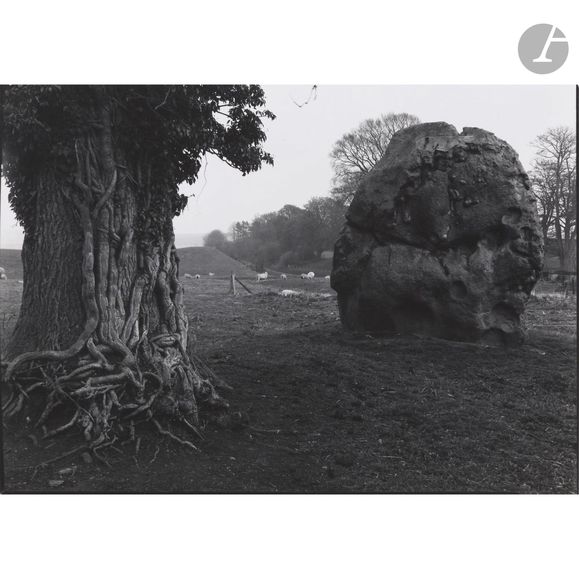 Paul Caponigro (1932-2024)
Avebury Stone Circle. Avebury, Angleterre, 1967.
Épreuve argentique (c. 1980), signée et titrée au crayon au verso. 
Image : 24 x 34 cm 
Feuille : 27,8 x 35,3 cm