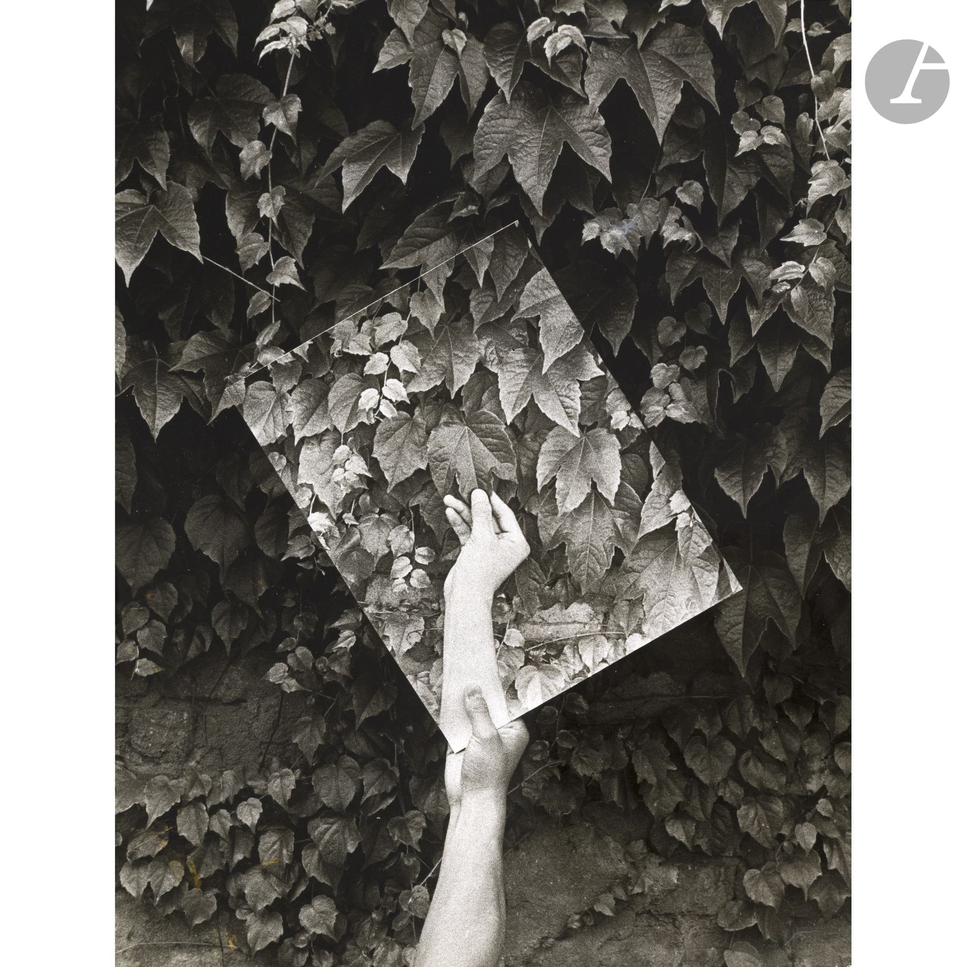Kazuo Katase (1947)
Hand und blatt, 1976. 
Sehbild, oder 3 Raume, 1977. 
Dix (10) épreuves argentiques d’époque, dont une signée. Nombreux tampons, légendes et dates aux versos. 
Formats : de 20 x 15,5 cm à 16 x 21,7 cm