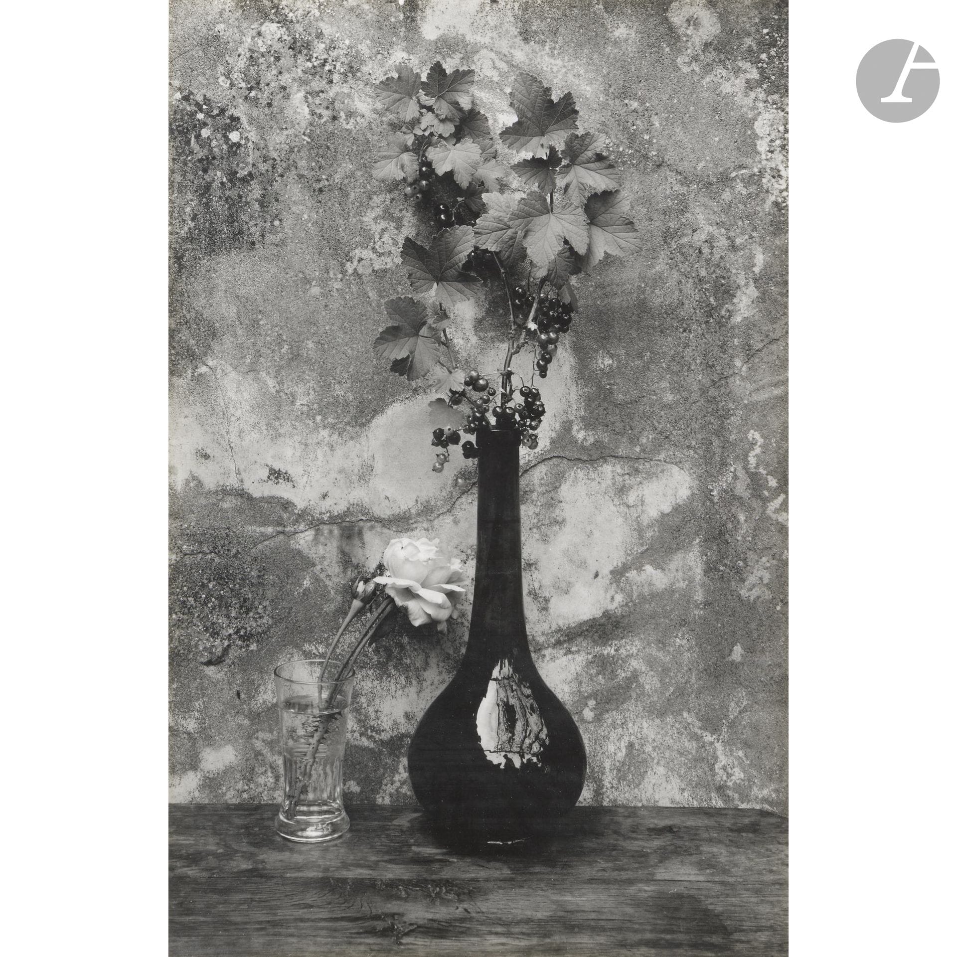 Jean-Pierre Sudre (1921-1997)
Groseilles et rose. Merville, c. 1970. 
Épreuve argentique d’époque, contrecollée sur carton, signée, titrée et datée au crayon sur le montage en bas. 
30 x 19,7 cm
