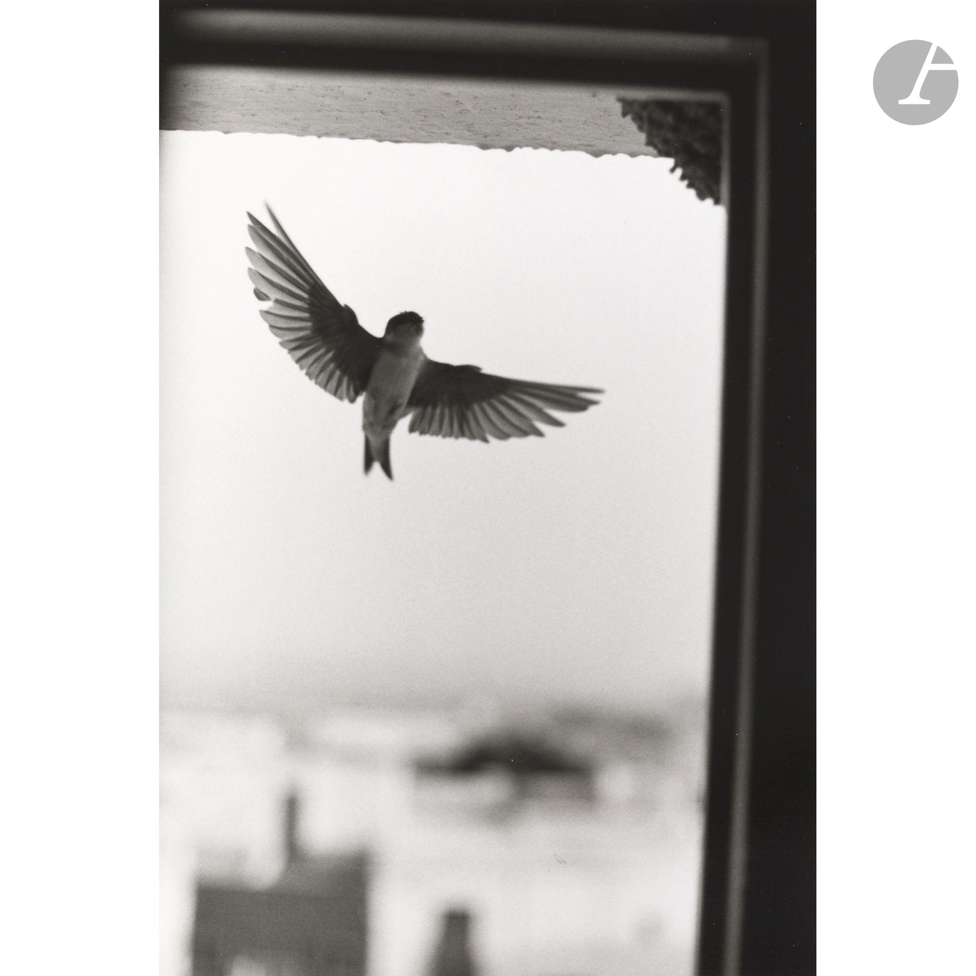 Bernard Plossu (1945)
Hirondelle. Andalousie, 2003. 
Épreuve argentique d’époque, signée, dédicacée, titrée, datée et annotée « AP » au crayon au verso. Timbre sec dans la marge en bas à droite. 
Image : 26,7 x 17,8 cm - Feuille : 30,5 x 24 cm