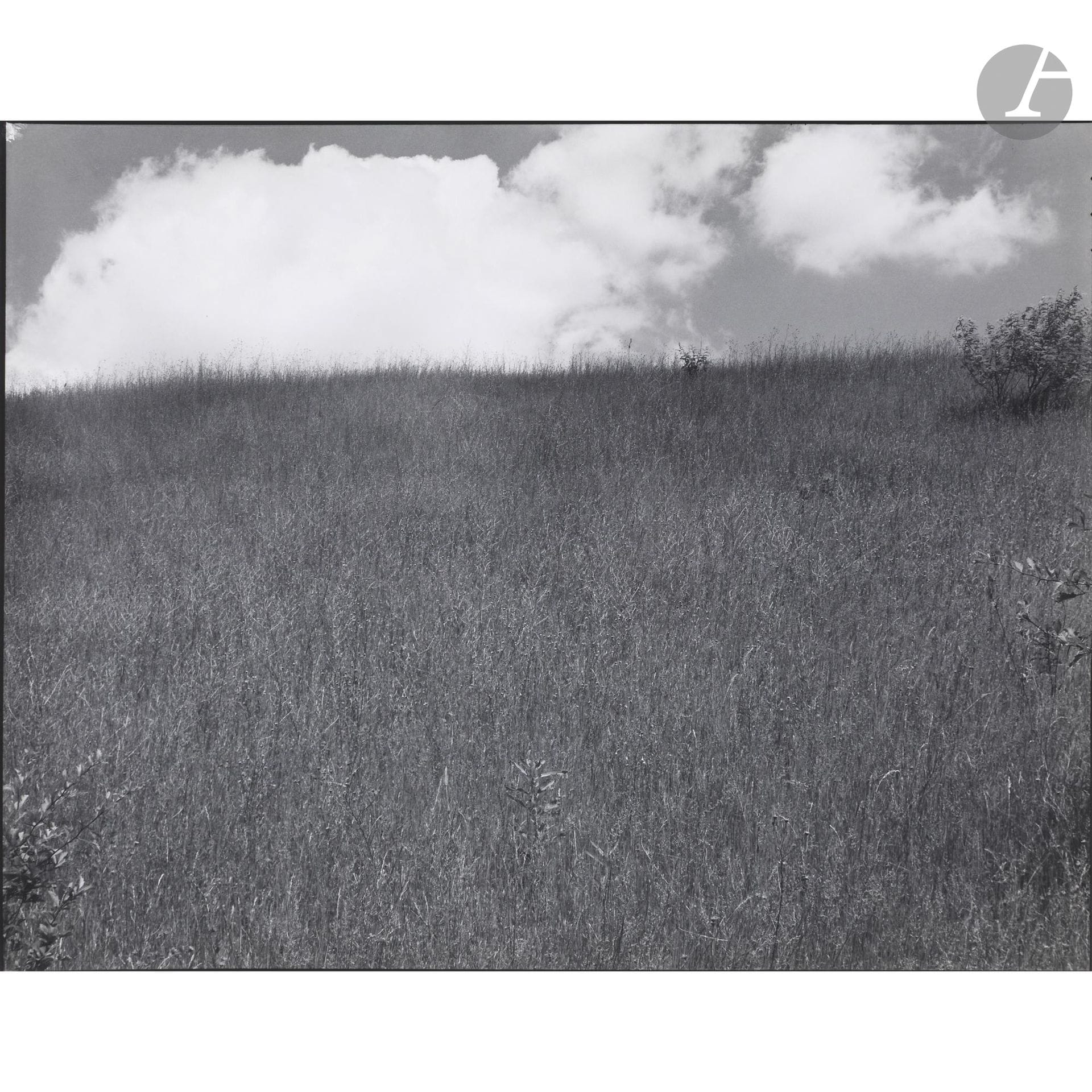 Paul Caponigro (1932-2024)
Landscape. Kalamazoo, Michigan, 1970. 
Épreuve argentique d’époque, créditée de la main de Paul Caponigro au crayon au verso. 
Image : 19,5 x 24,5 cm 
Feuille : 20 x 25 cm