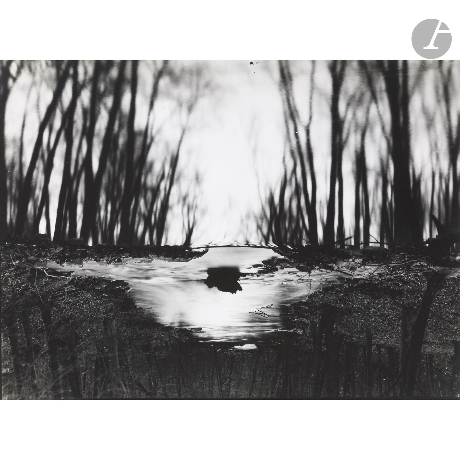 Paul Caponigro (1932-2024)
Woods. Redding, Connecticut, 1968. 
Épreuve argentique d’époque, créditée de la main de Paul Caponigro au crayon au verso. 
Image : 20 x 27 cm - Feuille : 21,5 x 27,7 cm