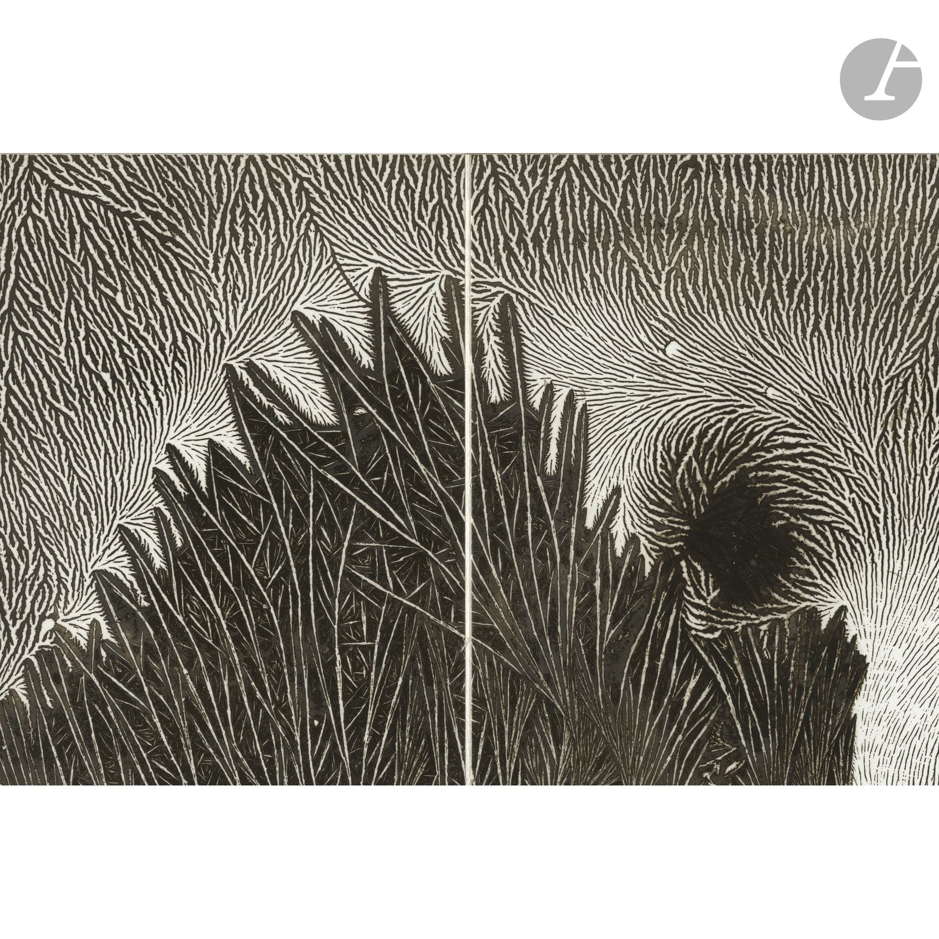 Jean-Pierre Sudre (1921-1997)
Argentine. Poème photographique, 1968.
In-12 (11,5 x 8,8 cm). Édition originale, reliure à dos apparents avec cahiers à plis, composée de 21 épreuves argentiques d’époque (mordancées) sur papier Agfa, contrecollées sur papier Japon nacré. Jaquette et emboîtage en papier Japon à longues fibres. Édition de 45 exemplaires (I à XXX puis 31 à 45) + 5 HC. Un des 5 exemplaires HC. Poème tapuscrit du photographe en préambule. 
Format moyen des épreuves : 11,5 x 8,5 cm