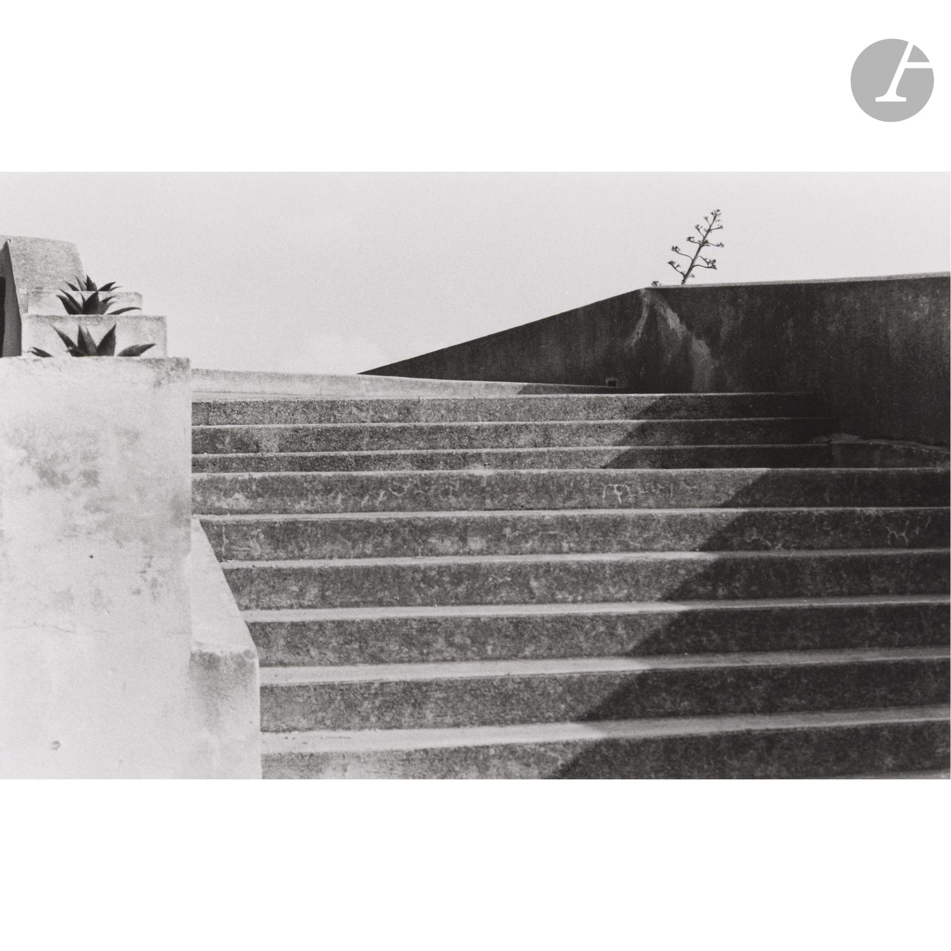 Bernard Plossu (1945)
Porquerolles, 1976. 
Épreuve argentique (c. 2000), signée, dédicacée, titrée et datée au crayon au verso. Timbre sec dans la marge en bas à droite. 
Image : 9,3 x 13,8 cm - Feuille : 18 x 24 cm