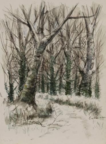 Jean FRÉLAUT (1879-1954)
Sous-bois Aquarelle et pierre noire sur vélin fort. Signée en bas à droite à la pierre noire et titrée en bas à gauche à la mine de plomb. (Quelques rousseurs claires). 42 x 31,5 cm Provenance: Galerie Marcel Guiot, Paris.