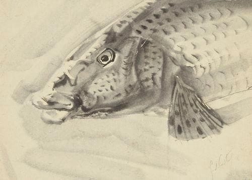 Germaine de Coster (1895-1992)
Tête de carpe Dessin au lavis d'encre de chine sur japon vergé. Signé à la mine de plomb en bas à droite. 22 x 30,5 cm Provenance: Joseph Vital-Lacaze (1874-1946), ami de l'artiste.