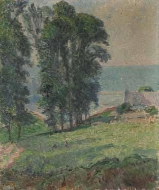 Joseph VITAL-LACAZE (1874-1946)
Paysage de bord de mer en Bretagne Huile sur toile. Signée en bas à droite. 55 x 46 cm