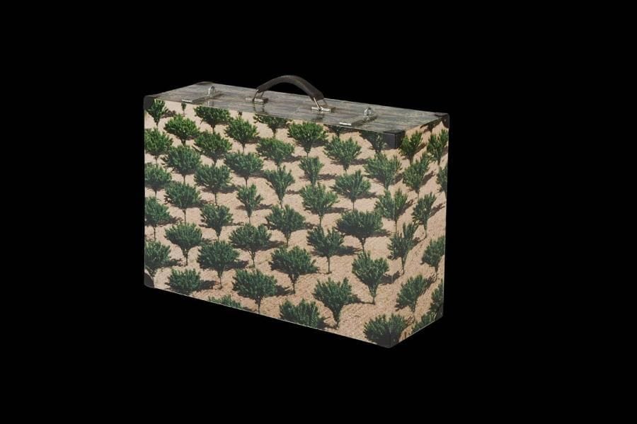 C'est pas le tout d'avoir des bagages, il faut savoir où les poser, 1994 Photographie, film autocollant, bois, métal, cuir. Signé et daté. 39 x 58 x 17,5 cm