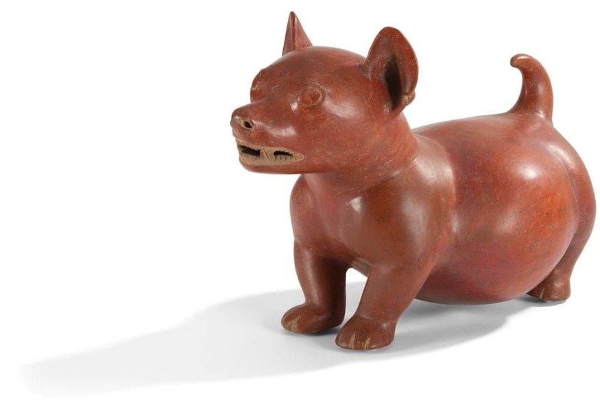 Chien au ventre rond. 
Debout sur ses quatre pattes et la queue redressée, il semble aux aguets. Cette race de chien était particulièrement appréciée et utilisée à des fins thérapeutiques pour la chaleur de leur corps.
Terre cuite creuse brune à engobe brun rouge avec traces de cinabre.
Culture Colima, Mexique.
100 av. - 250 p. J.-C.
H. : 27 cm - l. : 20 cm - L. : 37 cm

Provenance :
Ancienne collection privée, New York.
Un TL de Qed Laboratoire sera remis à l’acquéreur.