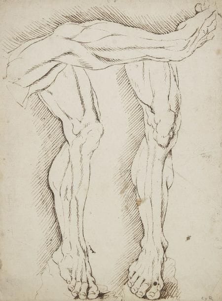 École Française du XVIIe siècle
Étude de deux jambes et d'un bras Plume et encre brune. 29,7 x 22 cm