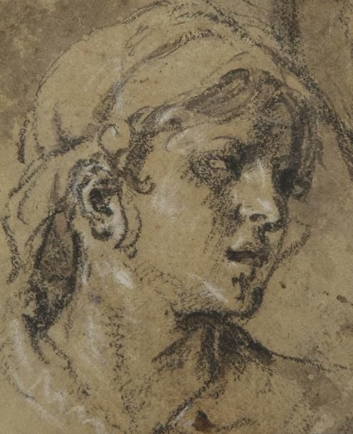 Ecole italienne du XVIIe siècle
Tête de femme tournée vers la droite Pierre noire et rehauts de blanc sur papier beige. 11 x 8,7 cm