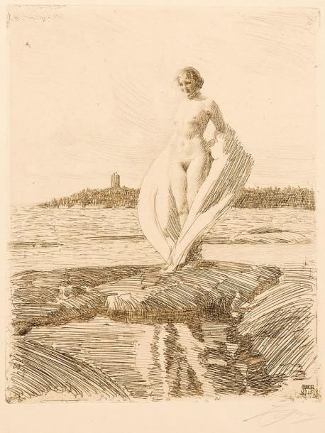 Anders Zorn (suédois, 1860-1920)
The Swan (Le Cygne). 1915. Eau-forte. 198 x 248. Asplund 269. Très belle épreuve sur vergé, signée à la mine de plomb. Très claire trace d'oxydation à l'ouverture d'un ancien montage. Toutes marges
