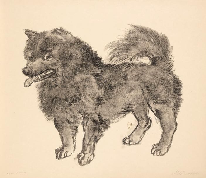 Léonard-Tsuguharu Foujita (1886-1968) (d'après)
Chien. Lithographie. 420 x 370. Très belle et fraîche épreuve sur japon, annotée en pied «Epreuve d'artiste». Toutes marges. Provenance: succession d'Auguste Clot, imprimeur lithographe