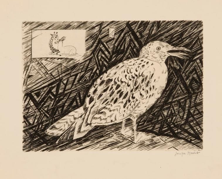 Joseph HECHT (1891-1951)
Oiseau de mer I. 1937. Burin. 268 x 197. Plumart, Tonneau-Ryckelynck 275. Très belle épreuve sur vélin, signée à la mine de plomb. Deux petites traces d'adhésif oxydées au verso. Belles marges