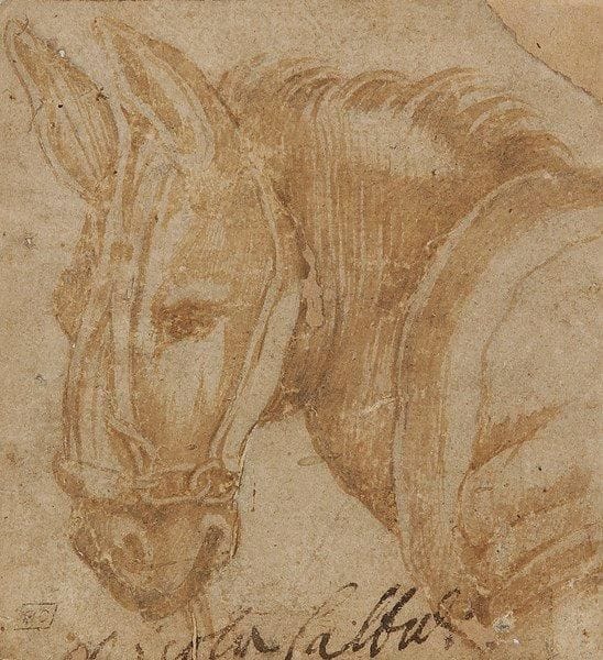 Attribué à Federico BAROCCI (1528 - 1612)

Tête de mule
Lavis brun sur papier beige.
Porte une inscription en bas à la plume.
Porte en bas à gauche le cachet de la collection E. Calando (Lugt n°837).
9 x 8 cm
