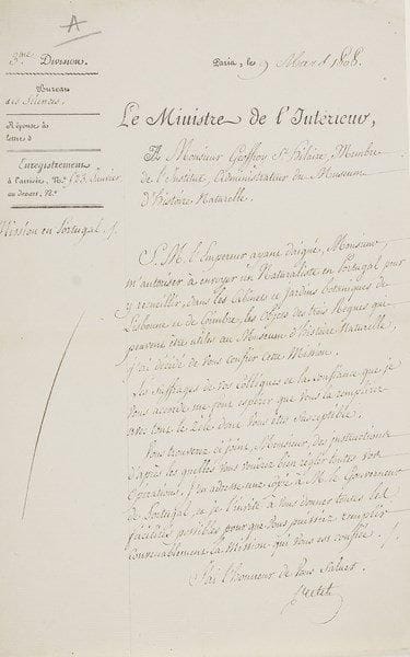 [Étienne GEOFFROY SAINT-HILAIRE]
3 L.S. ou P.S., Paris 1808, à lui adressées; 15 pages et demie in-fol., en-têtes Le Ministre de l'Intérieur et Muséum d'histoire naturelle.{BR} Ensemble relatif à sa mission botanique au Portugal.{BR} 9 mars 1808. L.S. par Emmanuel Cretet, ministre de l'Intérieur. Lettre de mission, au nom de l'Empereur, pour recueillir «dans les cabinets et jardins botaniques de Lisbonne et de Coinbre, les objets des trois regnes qui peuvent être utiles au Museum d'histoire naturelle»... ? «Instructions» signées par le ministre: s'attacher en particulier aux articles du Brésil et de la Mozambique; compléter les collections lacunaires du Muséum; prendre des informations sur les livres, manuscrits, médailles et cartes des bibliothèques; copier des inscriptions; d'éventuelles «mesures conservatrices par un séquestre ou autrement», à prendre, sans «aucun enlèvement en envoi, sans ordre spécial de S. Exce le Gouverneur général»...{BR} 16 mars 1808. P.S. par Georges Cuvier et Nicolas-Louis Vauquelin, administrateurs du Muséum, copie certifiée conforme de leur correspondance avec le ministre Cretet (7, 8, 10 et 14 janvier), relative à la mission de leur confrère Geoffroy Saint-Hilaire.{BR} On joint une L.A.S. de son petit-fils, Albert Geoffroy Saint-Hilaire, à Edmond Perrier, directeur du Muséum, 1909.{BR}