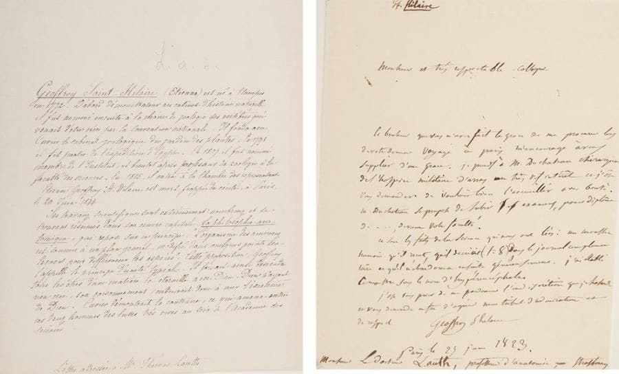 Étienne GEOFFROY SAINT-HILAIRE
L.A.S., Paris 25 juin 1823, au Dr Lauth, professeur d'anatomie à Strasbourg; 1 page in-4.{BR} Recommandation de Duchateau, chirurgien de l'hospice militaire d'Arras, qui va se présenter à des examens: «Ce sont les faits de la science qui nous ont liés: un monstre humain qu'il reçut, qu'il décrivit (t. 8) dans le Journal complémentaire [du Dictionnaire des sciences médicales] et qu'il m'abandonna ensuite généreusement. J'ai établi ce monstre sous le nom d'hyperencéphale»...{BR}
