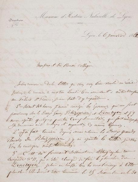 Claude Jourdan (1803-1873)
Médecin et naturaliste, directeur du Muséum d'histoire naturelle de Lyon L.A.S., Lyon 6 janvier 1862, à Henri Milne-Edwards, professeur au Muséum d'histoire naturelle à Paris; 3 pages in-4, en-tête Museum d'Histoire Naturelle de Lyon, adresse.{BR} Il renverra sous 48 heures les épreuves corrigées et augmentées de ses articles sur les deux genres Rhizoprion et Dinocyon; il y ajoutera deux grandes planches du premier; M. Formant, dessinateur lithographe à Paris, est chargé d'illustrer le second. «La description même sommaire de ce genre si remarquable de grand chien, sans planche, perdrait beaucoup de son intérêt». On pourrait réserver le Dinocyon pour un prochain numéro des Annales, et ne donner à celui sous presse que le Rhizoprion, de l'ordre des Cétacés, et sa note sur «les ?ufs féconds de femelles vierges du ver à soie du mûrier [...] Je voulais vous envoyer mes nombreux dessins de cerveaux ou plustot d'Encéphales de poissons pour le concours»... Si Dieu lui prête vie il publiera beaucoup cette année. «à quelle époque aura lieu la nomination à la place de membre de l'Académie en remplacement de Mr Isidore Geoffroy St Hilaire. D'autre part vous avez une place vacante de correspondant dans la Section de Zoologie. Quand la remplira-t-on ?»...{BR}