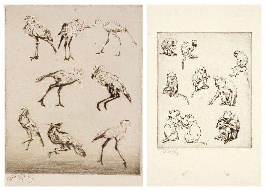 PAUL RENOUARD (1845-1924)

Études de singes; Études d'oiseaux échassiers. Pointe sèche. 223 x 278. Très belles épreuves sur vélin fort, signées des initiales au crayon. Rousseurs éparses. Toutes marges. Ens. 2 p.