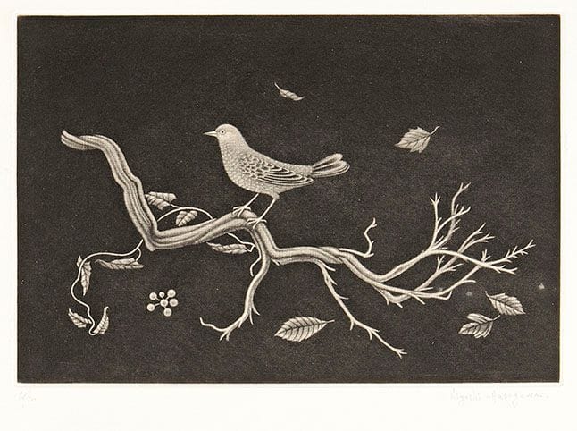 Kiyoshi Hasegawa (1891-1980)

Oiseau sur racine. 1960. Manière noire. 288 x 194. Reifu Syobo 318. Très belle épreuve sur vélin, numérotée et signée au crayon. Infimes traces filiformes de frottement en surface, visibles seulement en lumière frisante. Toutes marges. Tirage à 100 épreuves.