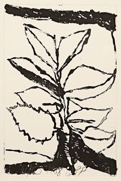 Jean-Pierre PINCEMIN (1944-2005)

Une plante. 1989. Aquatinte au sucre et rehauts de gouache blanche. 210 x 325. Chauvineau 90. Parfaite épreuve sur vélin, numérotée, signée et datée au crayon. Toutes marges. Tirage à 50 épreuves.